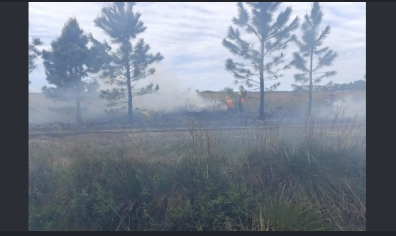Un incendio forestal afectó unas 54 hectáreas en zona rural de San Miguel, en Corrientes