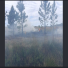 Un incendio forestal afectó unas 54 hectáreas en zona rural de San Miguel, en Corrientes
