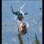 Dos helicópteros chocaron en pleno combate contra un incendio forestal en Grecia