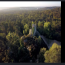 El emblemático bosque de Fontainebleau tardará hasta 30 años en recuperarse tras los incendios